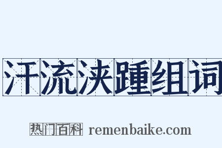 汗流浃踵组词是什么意思的图片